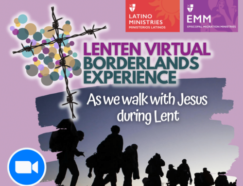 Virtual Borderlands Experience
